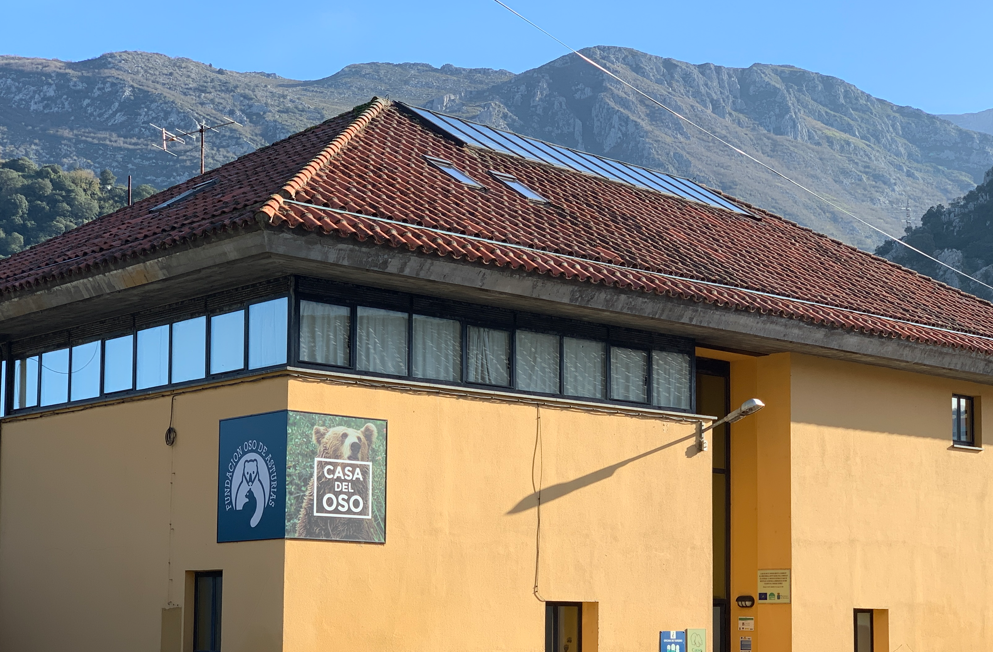 Fundaci&oacute;n Oso Asturias