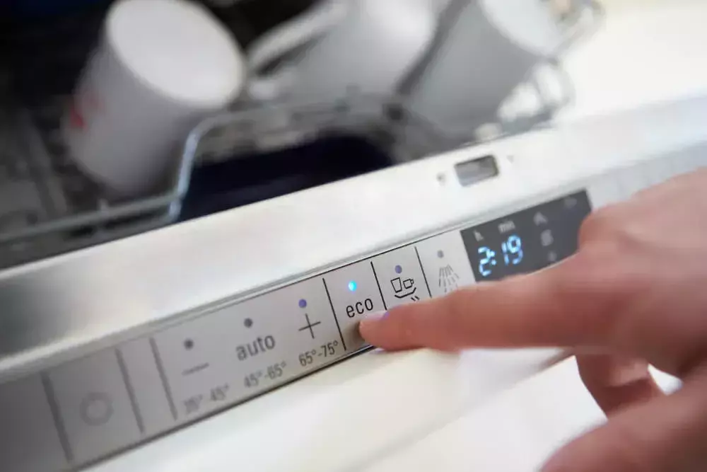programas eco en electrodom&eacute;sticos