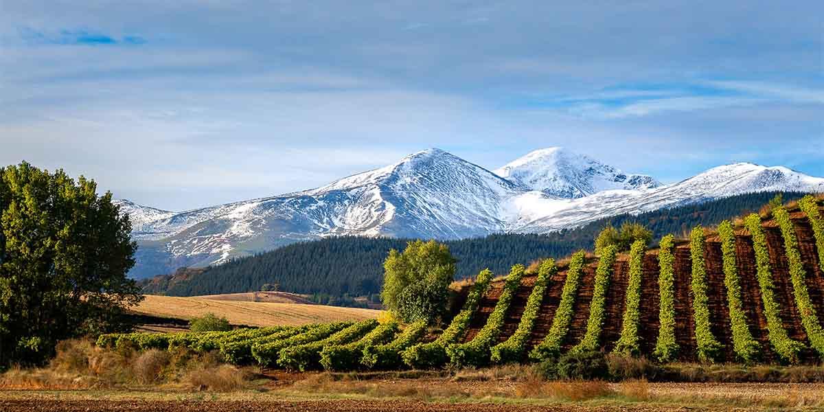 subvenciones para la instalaci&oacute;n de placas solares en la rioja
